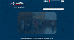 Desktop Screenshot of aia.sk